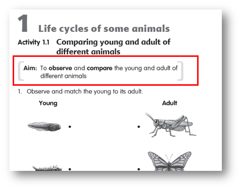 an excerpt from My Pals are Here! Science activity book
